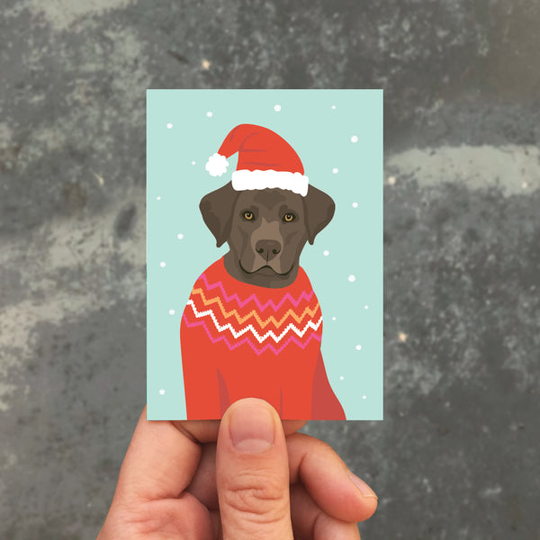 FESTIVE LAB ENCLOSURE
