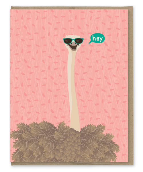 HEY OSTRICH BLANK NOTE CARD