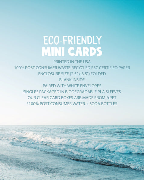 BIRTHDAY SEAGULL ENCLOSURE