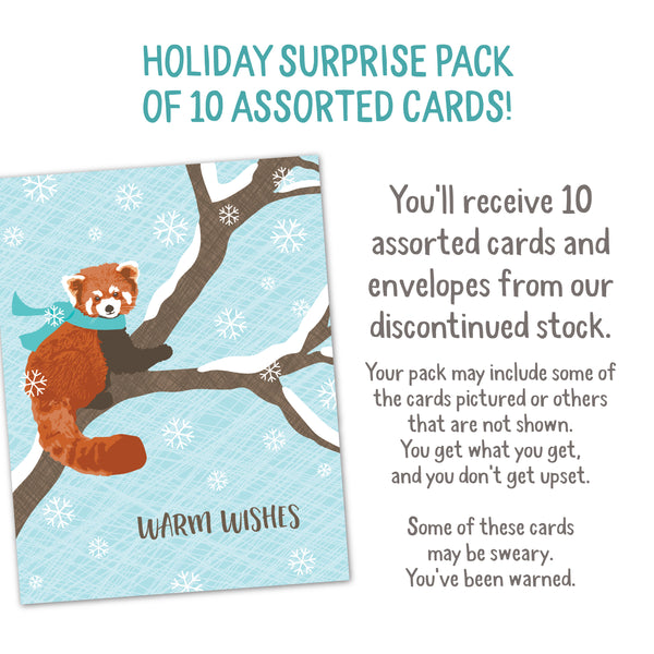HOLIDAY SURPRISE PACK!