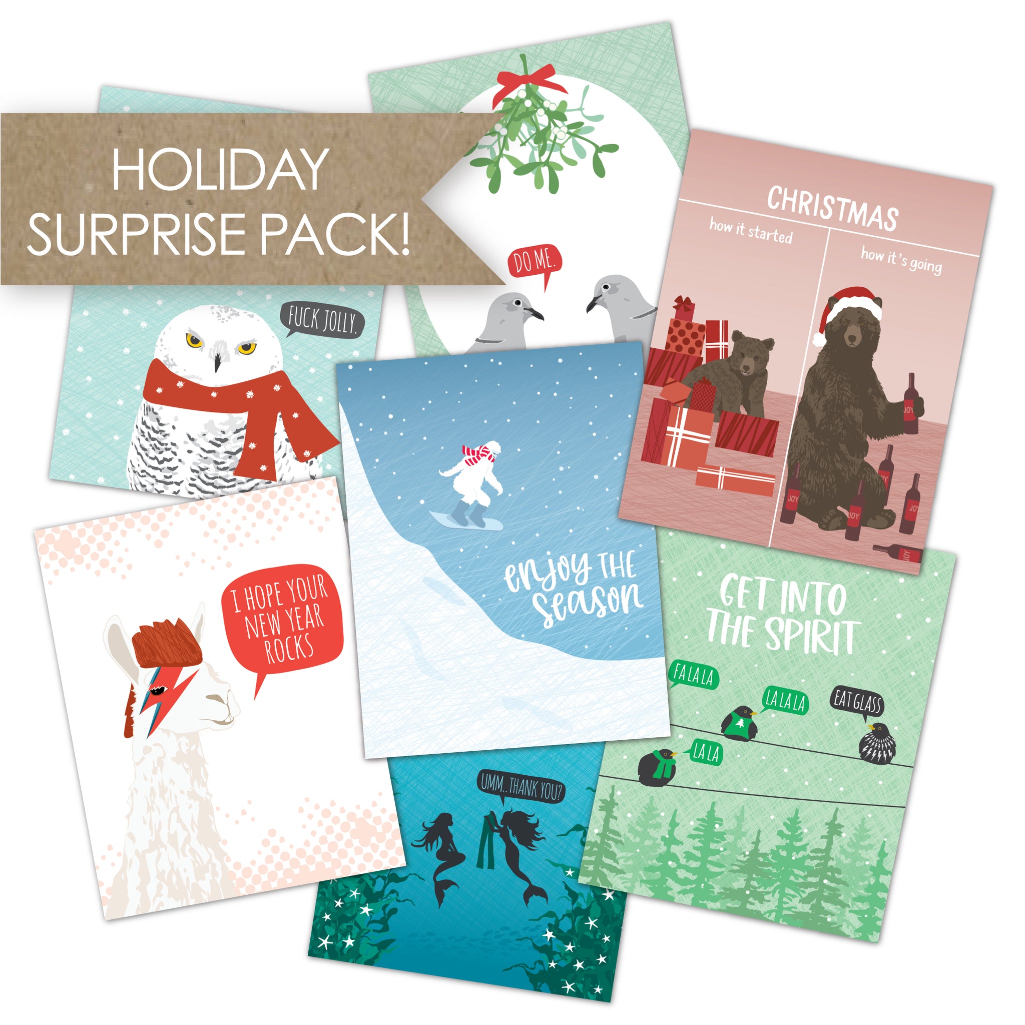 HOLIDAY SURPRISE PACK!