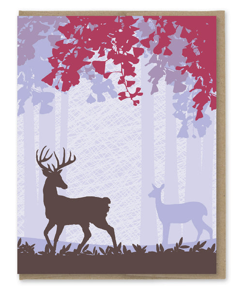 FOREST ASSORTED BLANK CARDS (BOX OF 8)