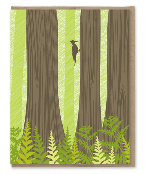 FOREST ASSORTED BLANK CARDS (BOX OF 8)